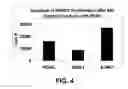 Fig. 05 - ANGIOGENESIS USING PLACENTAL STEM CELLS