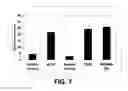 Fig. 08 - ANGIOGENESIS USING PLACENTAL STEM CELLS