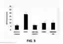 Fig. 09 - ANGIOGENESIS USING PLACENTAL STEM CELLS