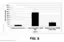 Fig. 10 - ANGIOGENESIS USING PLACENTAL STEM CELLS