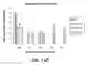 Fig. 18 - UMBILICAL CORD PRODUCTS