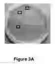 Fig. 07 - Method of treatment