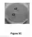 Fig. 09 - Method of treatment