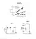 Fig. 03 - Methods of treating mesothelioma by administration of compounds comprising FGFR1 ECD
