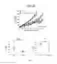 Fig. 06 - Methods of treating mesothelioma by administration of compounds comprising FGFR1 ECD