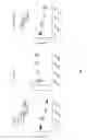 Fig. 13 - Methods of treating mesothelioma by administration of compounds comprising FGFR1 ECD