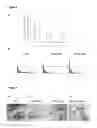 Fig. 03 - Method for Inhibiting HIV Replication in Mammal and Human Cells