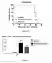 Fig. 03 - Vaccine composition