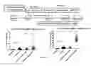 Fig. 04 - Vaccine composition