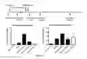 Fig. 07 - Vaccine composition