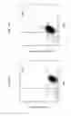 Fig. 09 - Yeast-brachyury immunotherapeutic compositions