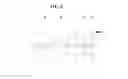 Fig. 06 - Vaccines against pathogenic and methods of using the same