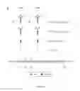 Fig. 02 - Cyclic HIV-1 Env V3 glycopeptide immunogens