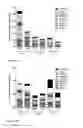 Fig. 12 - Vaccines against hepatitis B virus