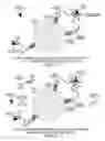 Fig. 05 - Immunotherapy Using a Logical AND Combination for Immune Response Activation