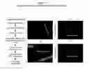 Fig. 02 - Methods and compositions for wound treatment