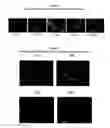 Fig. 08 - Methods and compositions for wound treatment