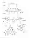 Fig. 02 - Groundbreaking Platform Technology for Specific Binding to Necrotic Cells