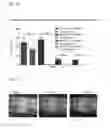 Fig. 09 - Groundbreaking Platform Technology for Specific Binding to Necrotic Cells