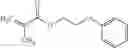 Fig. 08 - Targeted therapeutic nanoparticles