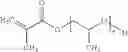 Fig. 09 - Targeted therapeutic nanoparticles