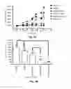 Fig. 07 - Curcumin conjugates for treating and preventing cancers
