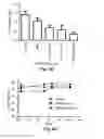 Fig. 08 - Curcumin conjugates for treating and preventing cancers