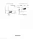 Fig. 08 - Compounds and methods for trans-membrane delivery of molecules