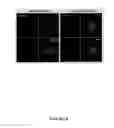 Fig. 12 - Compounds and methods for trans-membrane delivery of molecules