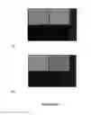 Fig. 13 - Compounds and methods for trans-membrane delivery of molecules