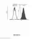 Fig. 14 - Compounds and methods for trans-membrane delivery of molecules