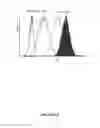 Fig. 17 - Compounds and methods for trans-membrane delivery of molecules