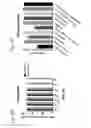 Fig. 20 - Antisense antibacterial compounds and methods