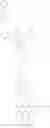 Fig. 118 - Bio-orthogonal drug activation