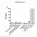 Fig. 09 - Re-directed immunotherapy