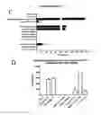 Fig. 11 - Re-directed immunotherapy