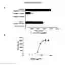 Fig. 18 - Re-directed immunotherapy