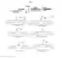 Fig. 14 - Cytotoxic benzodiazepine derivatives