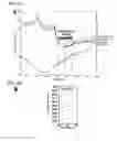 Fig. 10 - Near infrared label and methods of use thereof