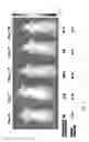 Fig. 13 - Near infrared label and methods of use thereof