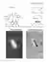 Fig. 14 - Near infrared label and methods of use thereof