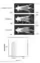 Fig. 09 - OXYGEN FREE RADICAL DETECTION