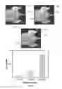 Fig. 10 - OXYGEN FREE RADICAL DETECTION