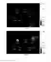Fig. 07 - Fluorescent solid lipid nanoparticles composition and preparation thereof