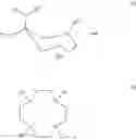 Fig. 19 - Fluorescent solid lipid nanoparticles composition and preparation thereof