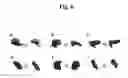 Fig. 07 - Biocompatible fiducial marker using multi-block copolymers