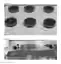 Fig. 02 - Wound dressing materials incorporating anthocyanins derived from fruit or vegetable sources
