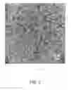 Fig. 05 - Collagen Material and Composites for Ocular Application