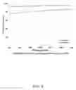 Fig. 06 - Collagen Material and Composites for Ocular Application