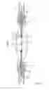 Fig. 07 - Catheter device